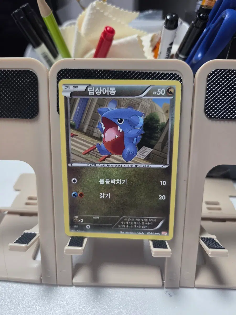 포켓몬 카드 딥상어동