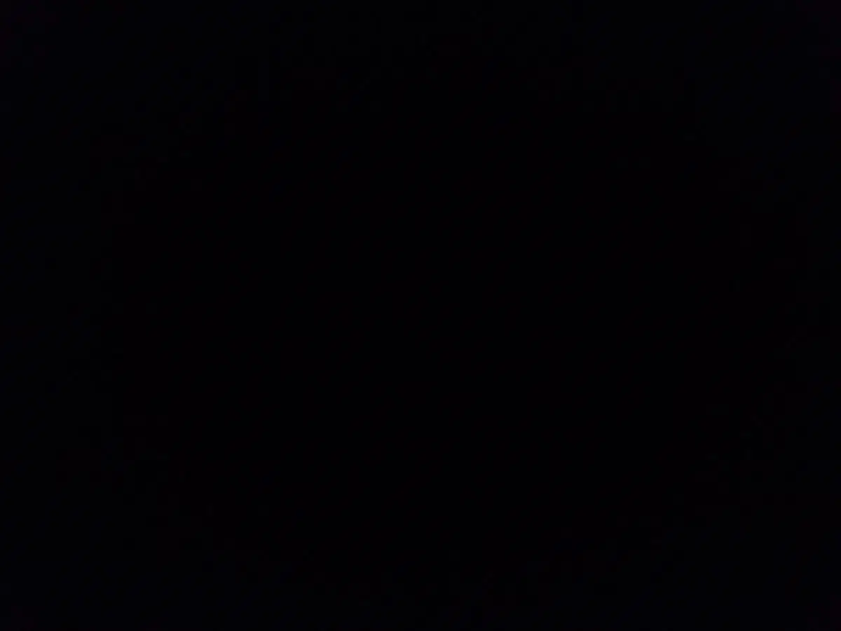 꿀모 즌1