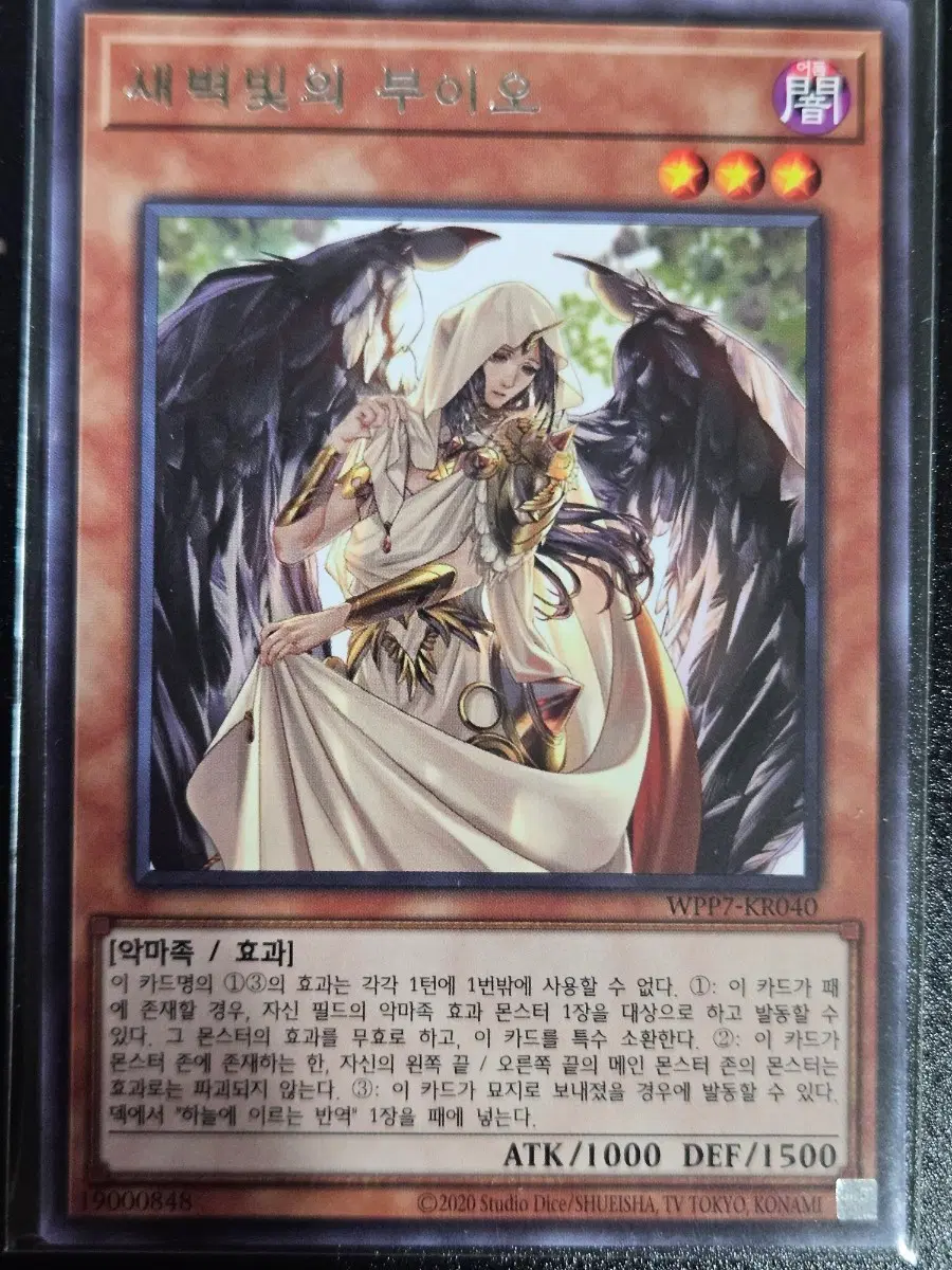 유희왕 새벽빛의 부이오 R (레어)