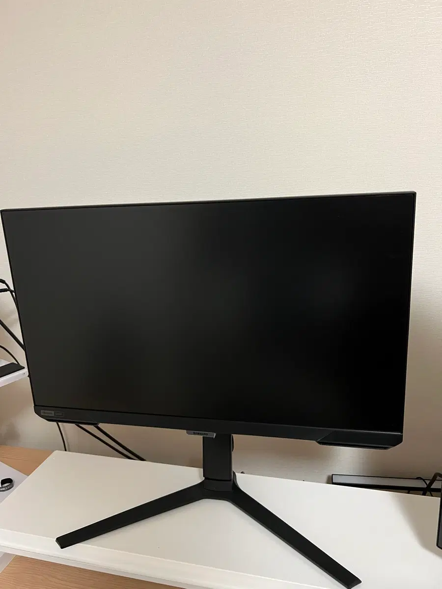삼성 S25BG400 25인치 240hz모니터