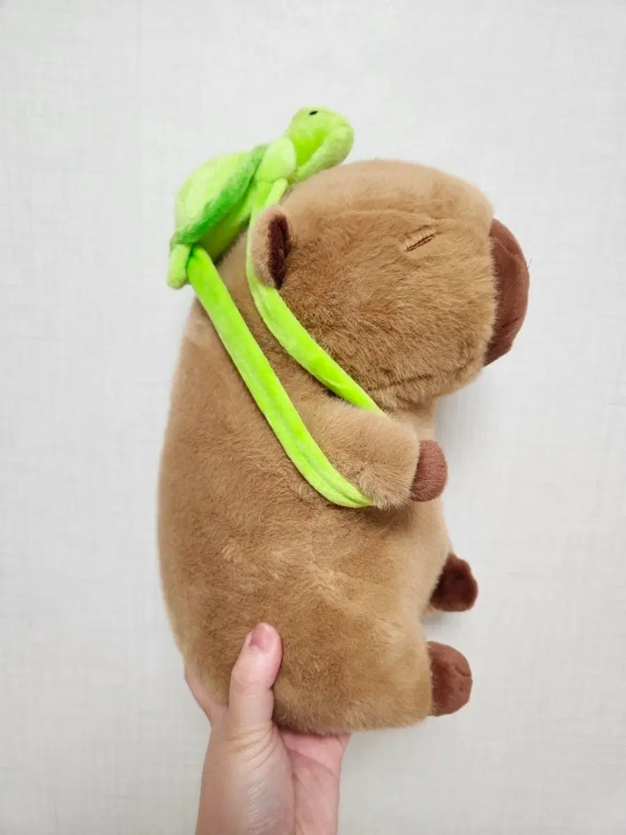카피바라 인형