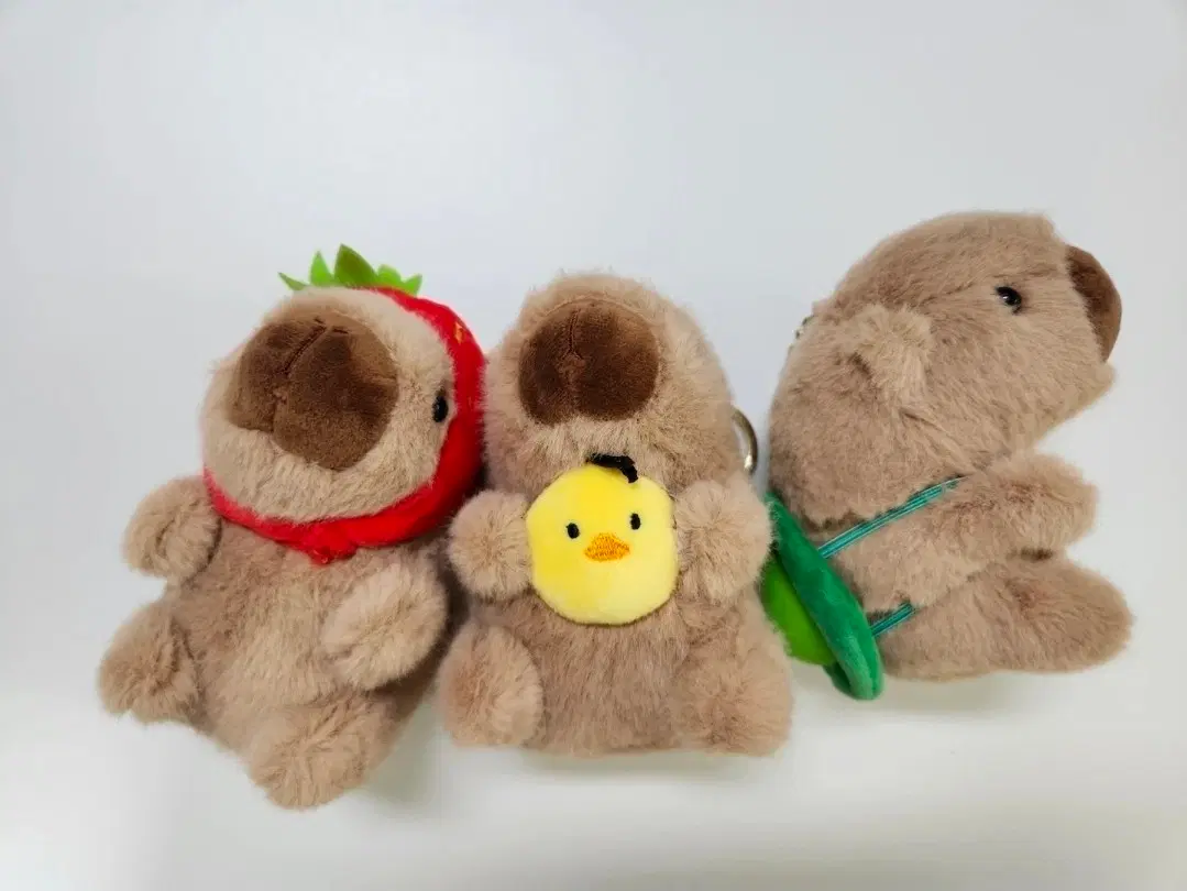 카피바라 인형 키링 3종