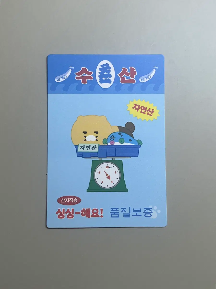 카카오프렌즈 춘식이 춘수산 카드
