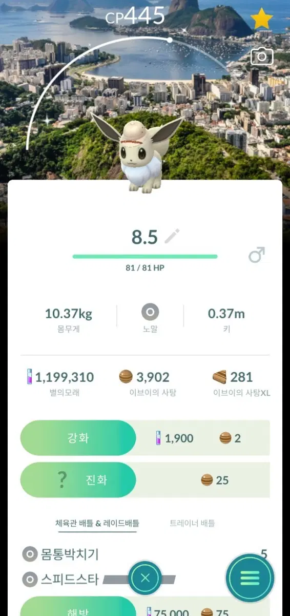 포켓몬고 로케로치 이브이 팝니더
