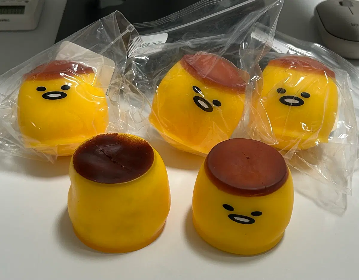 푸딩 크런치 슬랑이 5개 일괄