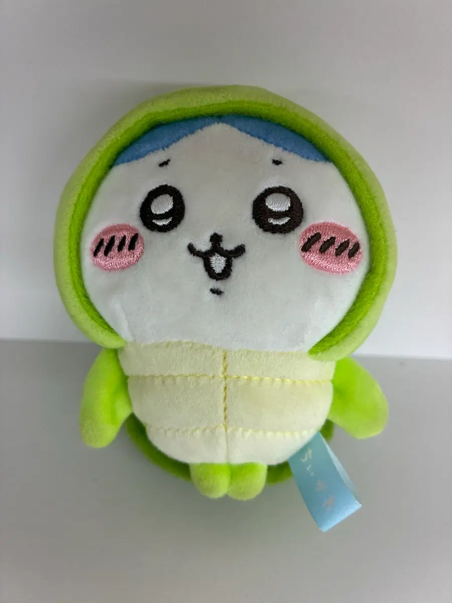 거북이 하치와레