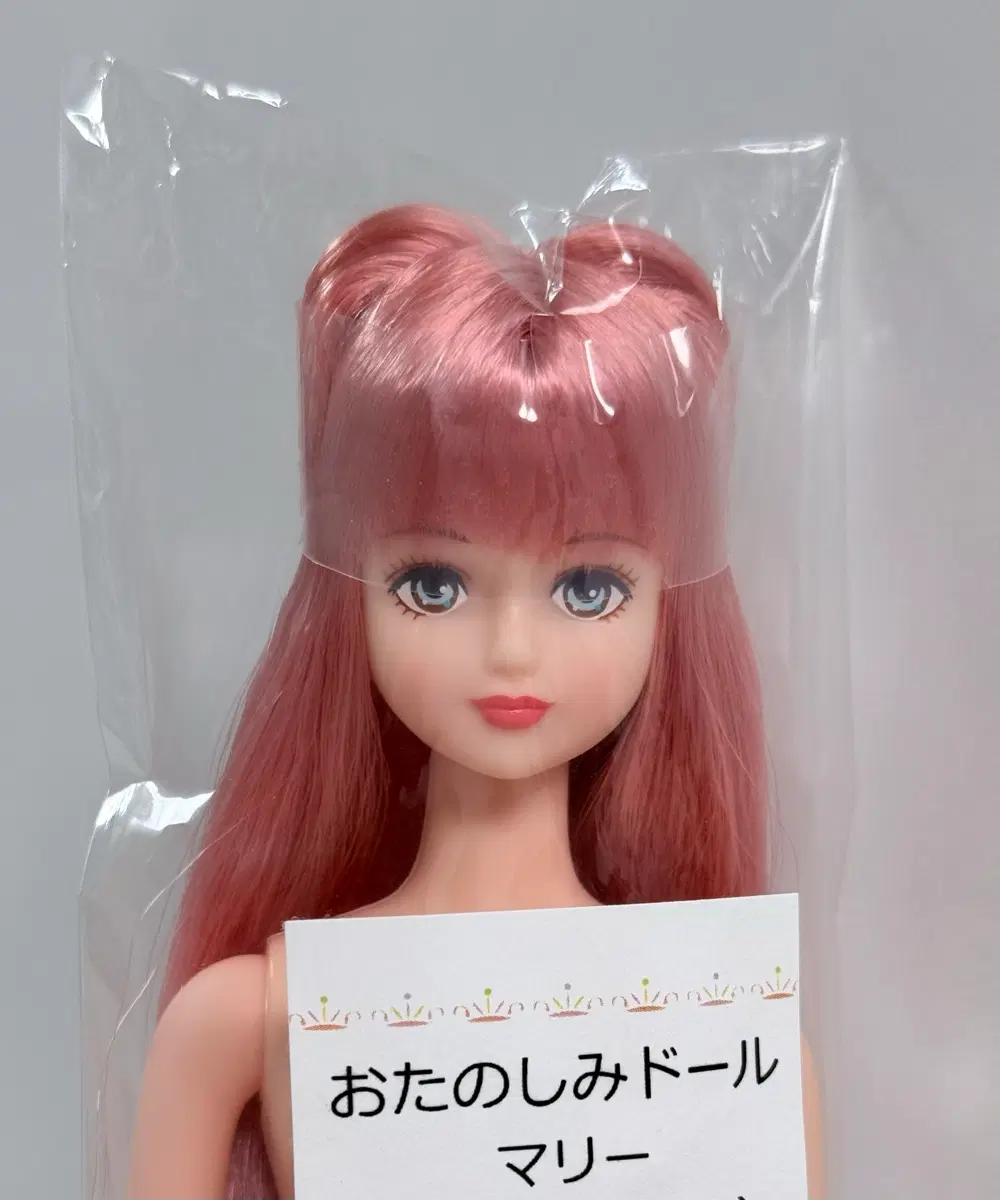 리카캐슬 시온