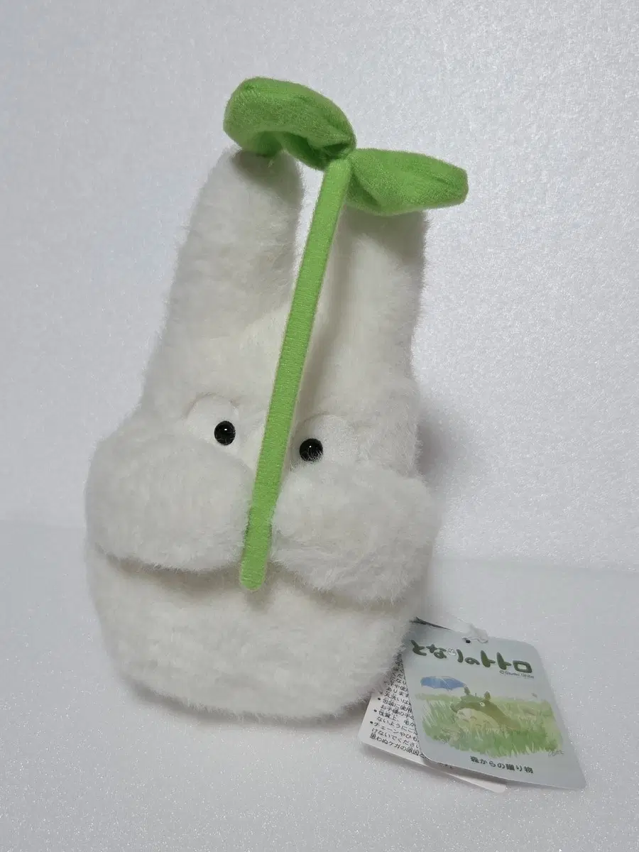 지브리 소토토로 숲의 선물 봉제인형 (일본 정품)