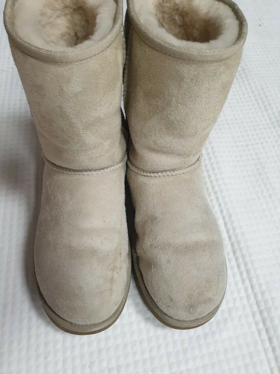 UGG 어그부츠 베이지색 240