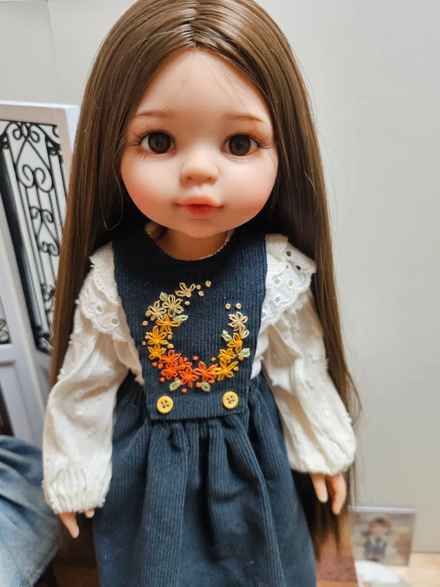 파올라 레이나 성형리페 라쿤바디