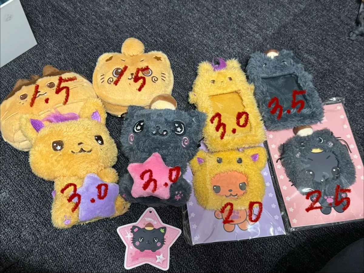 위시돌 시오닝 쿠리 판매