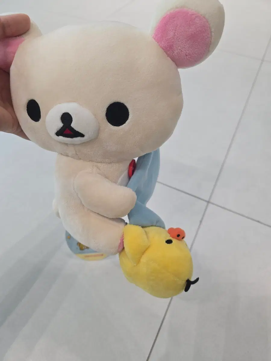 코리락쿠마