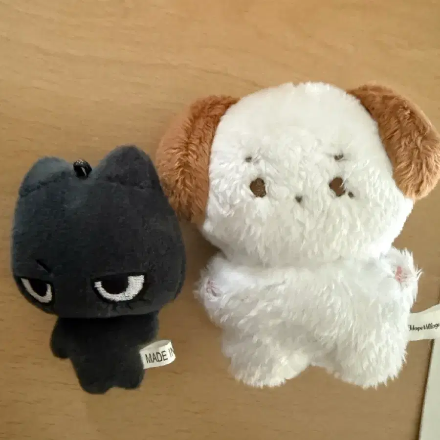 탯냐코 솜리우 팔아요!