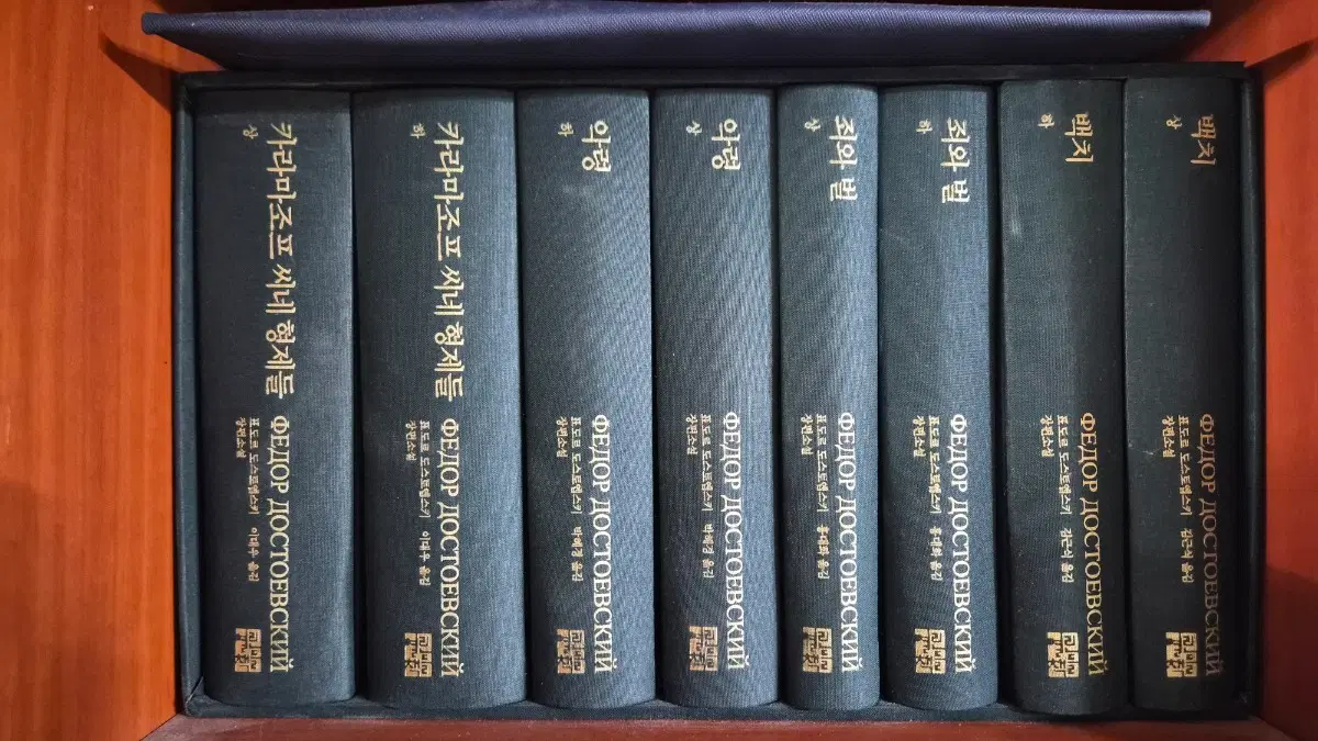 도스도옙스키 200주년 기념 세트
