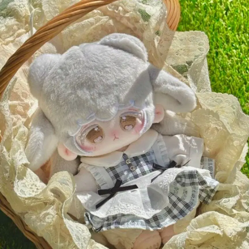 무속성 포코리