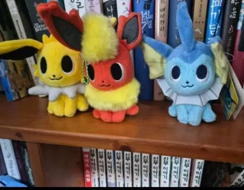 마스코트 pokemon time 이브이/블래키 구해요