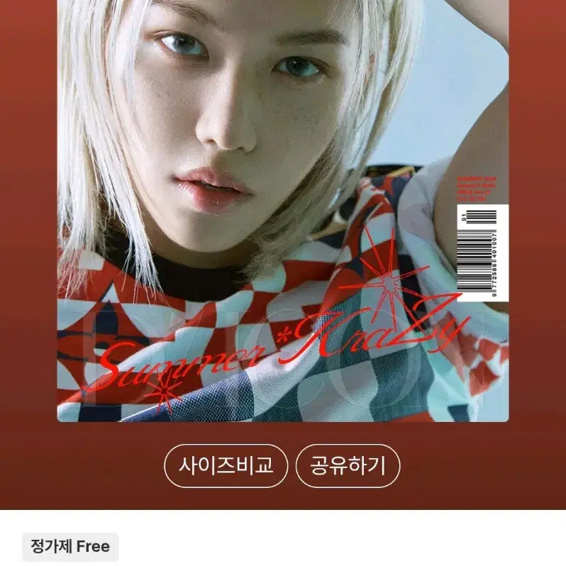 스트레이키즈 필릭스 다이콘 2024 A버전 (포카만 X)