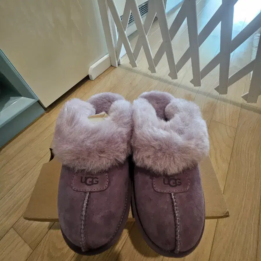 어그 코케트 새상품