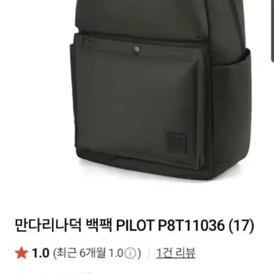 만다리나덕 백팩 PILOT P8T11036