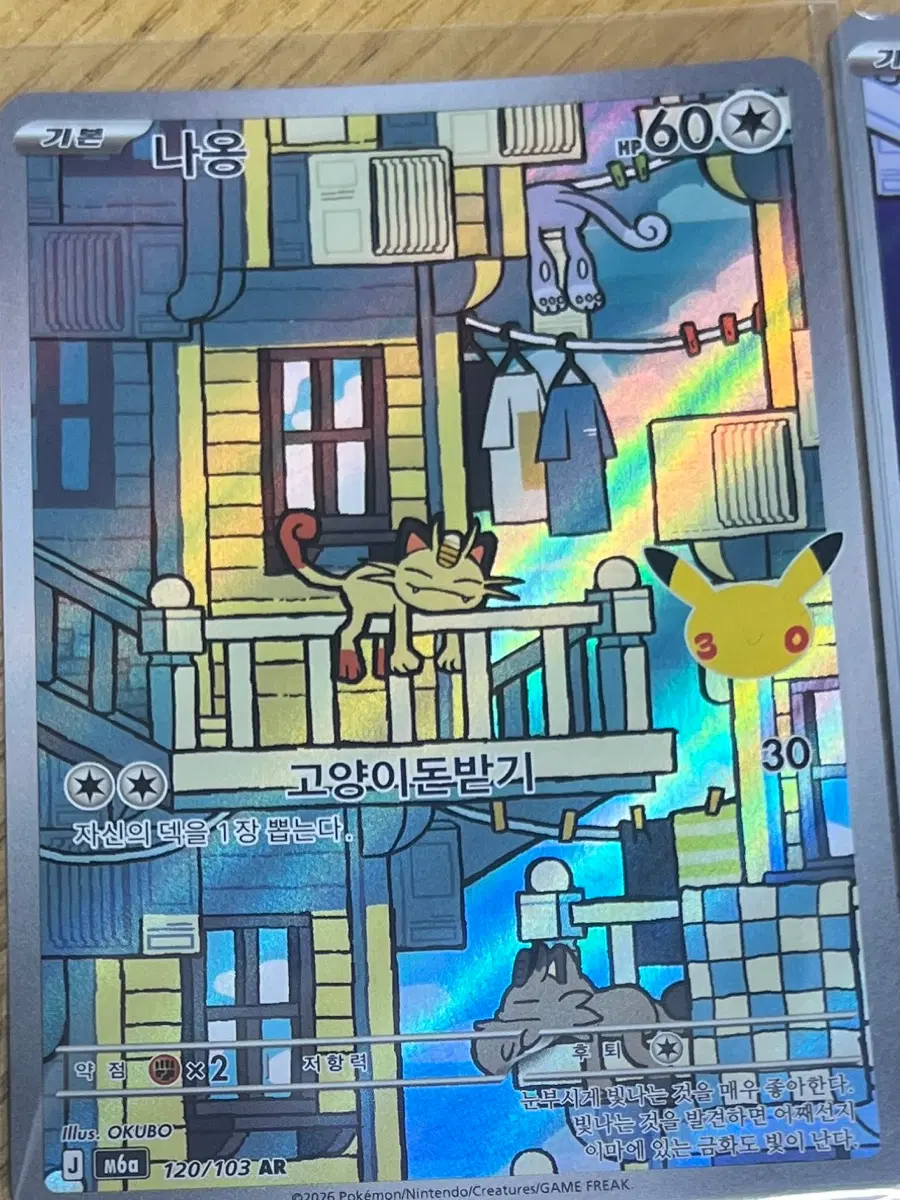 포켓몬카드 30주년 나옹