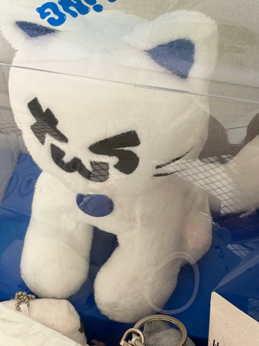 TWS 투어스 인형 대왕투냥이