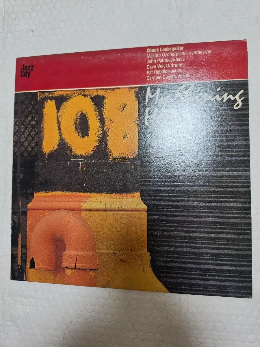Chuck Loeb LP 재즈