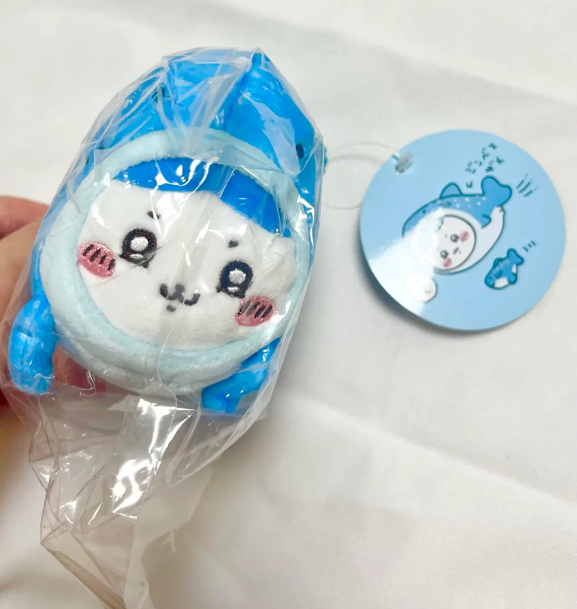 공홈직구) 하치와레 고래상어 수족관 마스코트