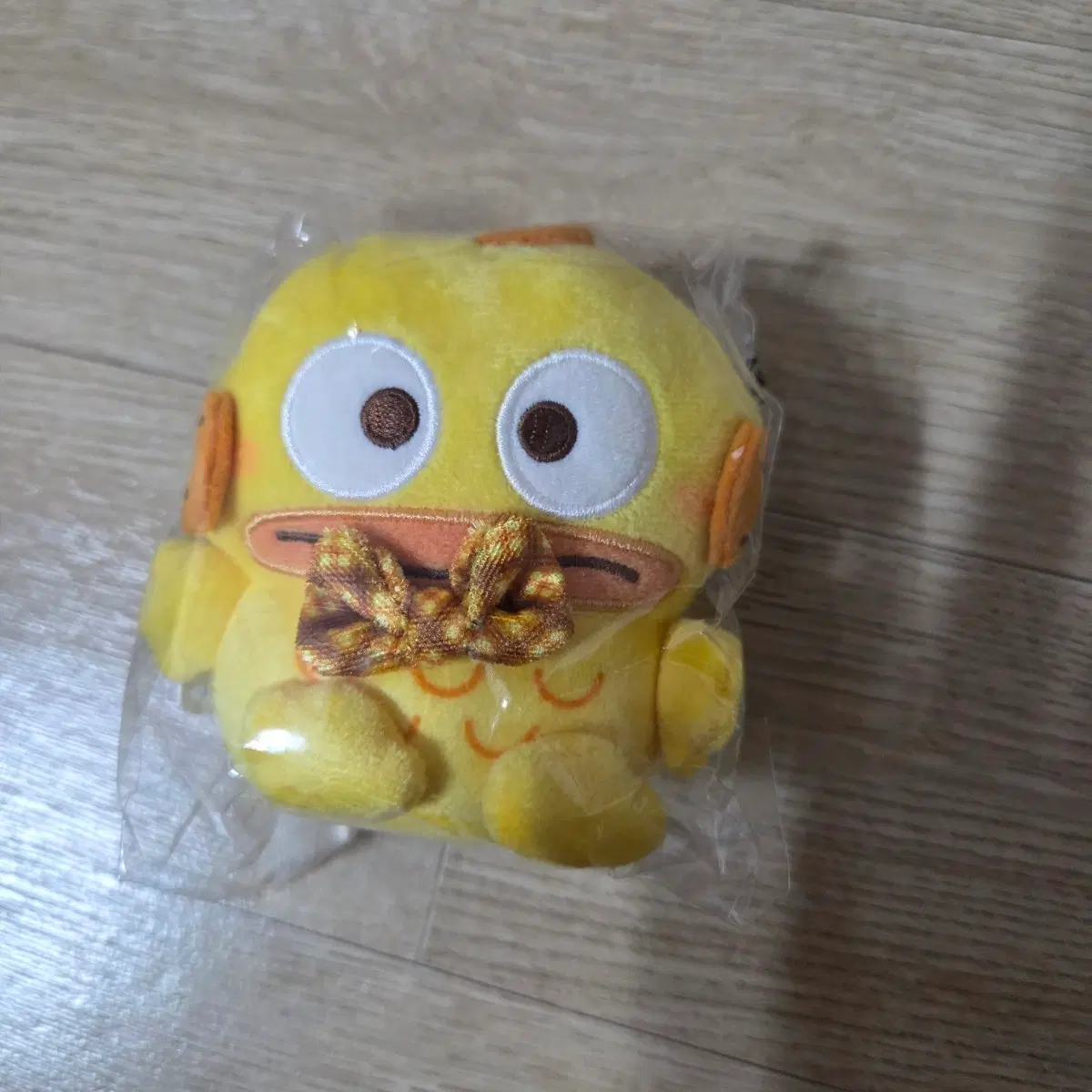 한교동 모카
