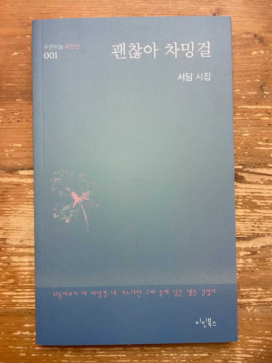 괜찮아 차밍걸 : 서담 시집