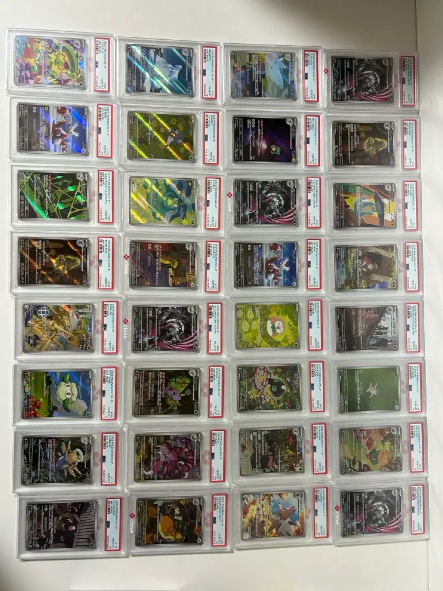 등카 psa10