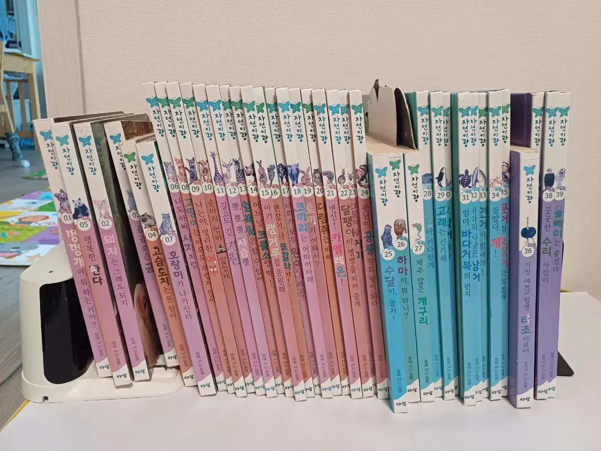 아람 자연이랑 자연관찰 전집 (76권 일괄)