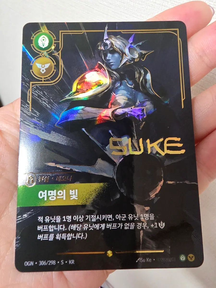 레오나 오버넘버 시그