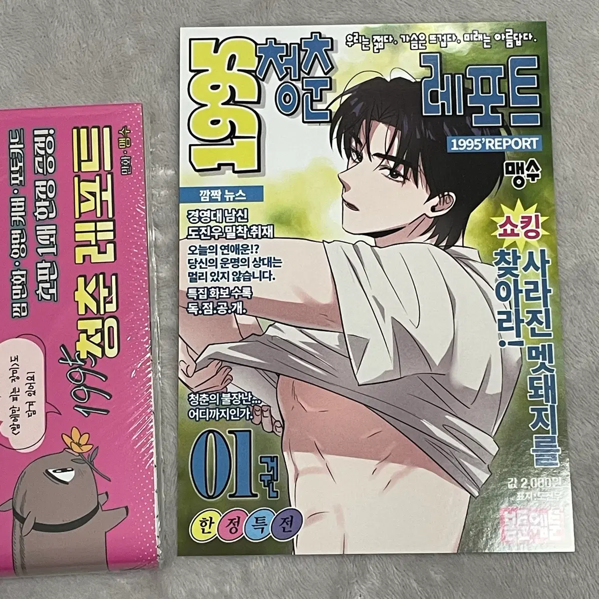 1995 청춘 레포트 청레 초판 애니메이트 특전 1995청춘레포트 bl 비엘 웹툰