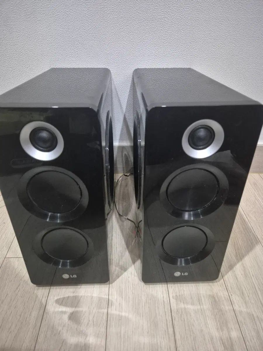 LG FBS166V스피커