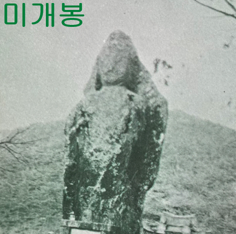 폐허 (PYHA) - Dead And Forgotten (미개봉, CDR)