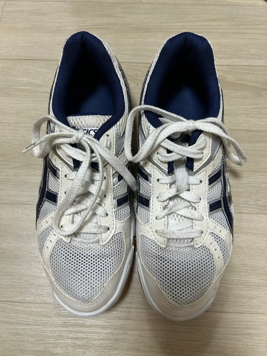 로테리브레 250