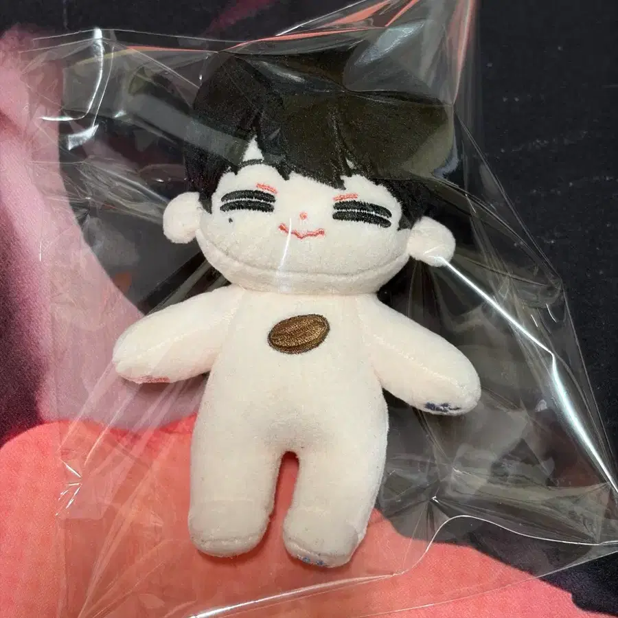 무료배송 세븐틴 원우 인형 댕댕냥냥 버전2 냥냥 10cm