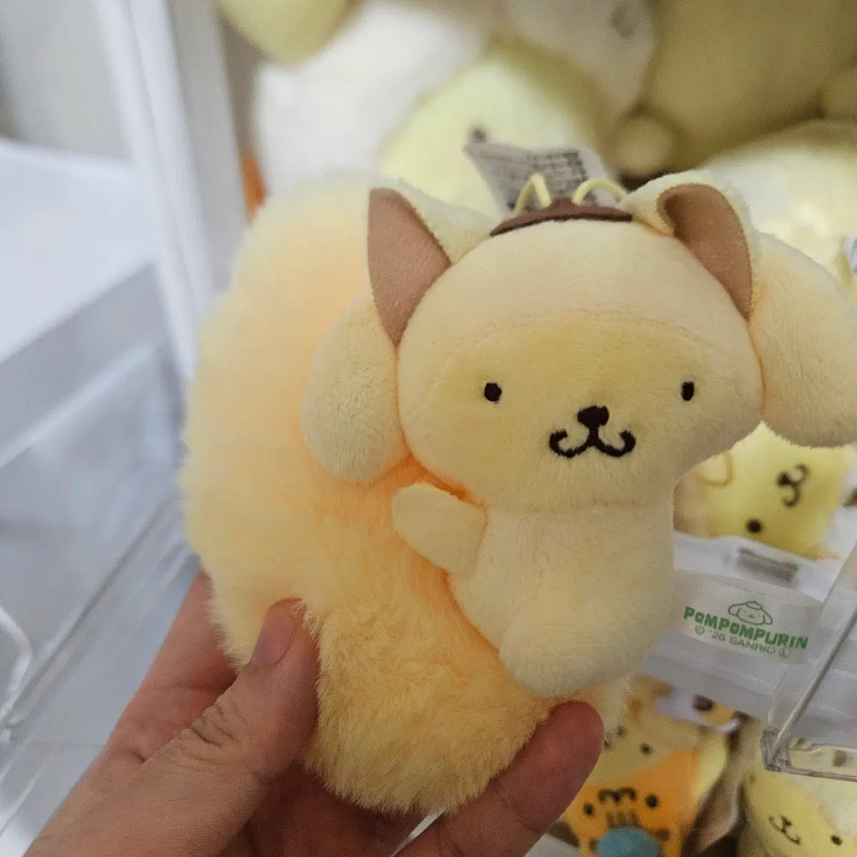 폼폼푸린 보송여우