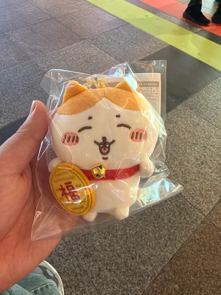 치이카와 하치와레 황금 복 금치와레