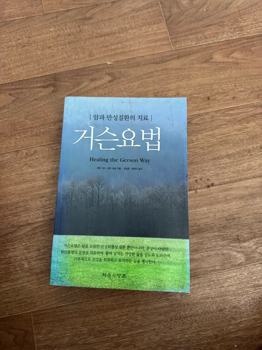 거슨요법
