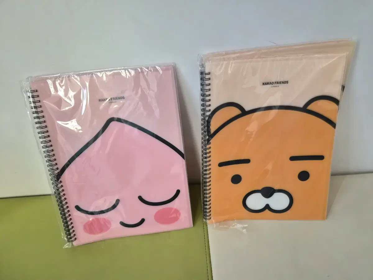 카카오프렌즈 스프링 클리어 파일