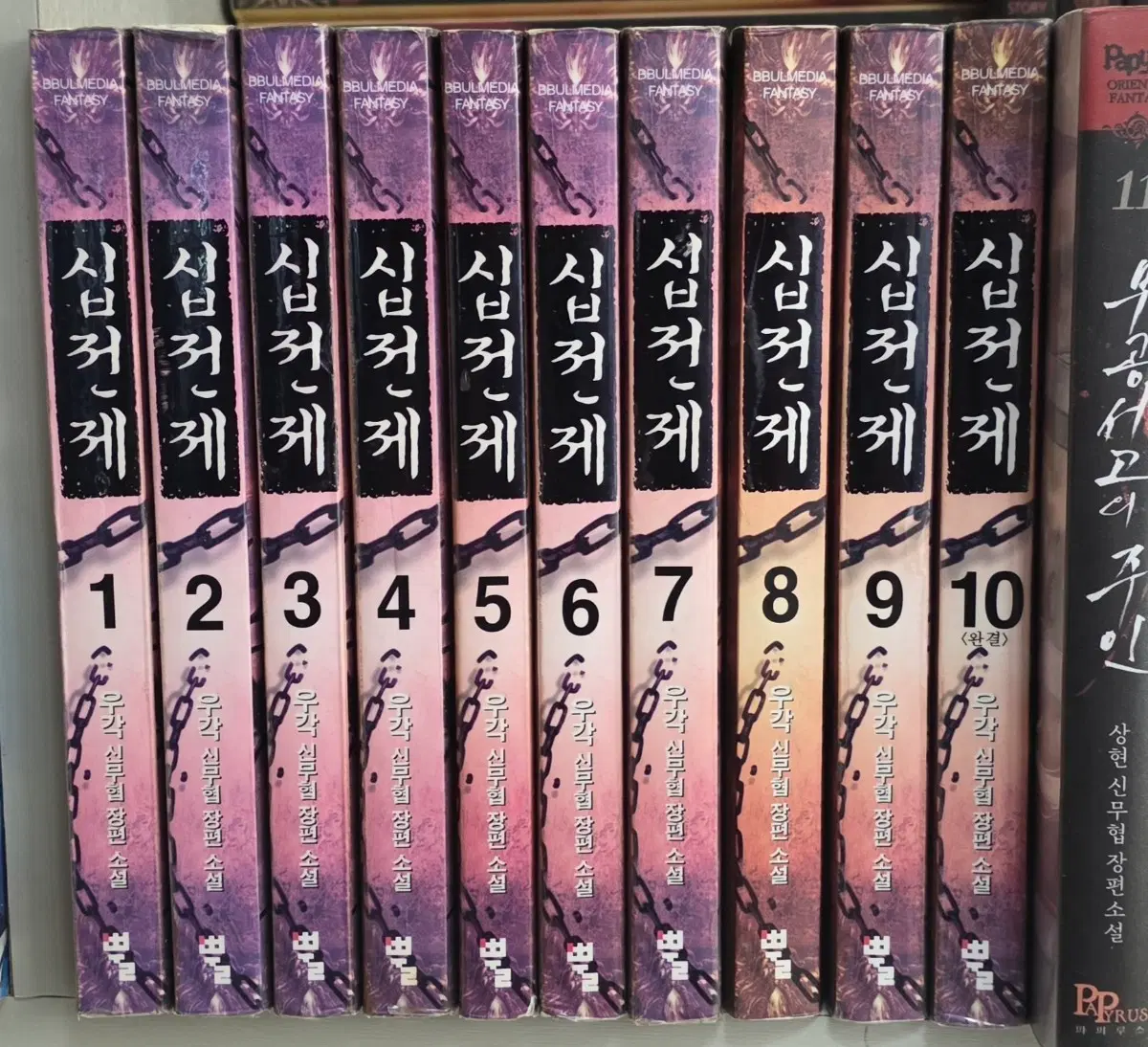 십전제 무협지