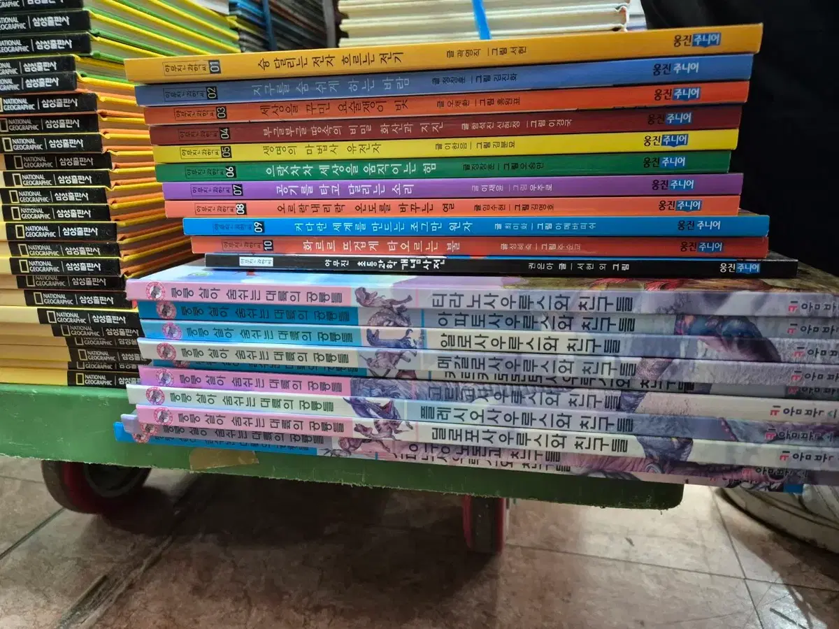 쿵쿵 살아숨쉬는 대륙의 공룡들 키움북스 10권 세트 어린이책 중고책