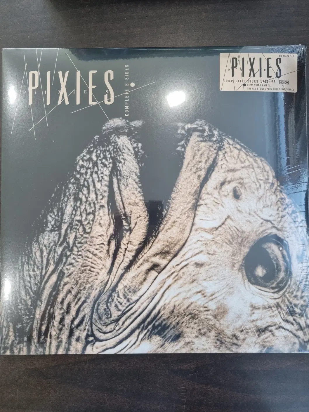 [미개봉LP] Pixies- Complete B Sides 2LP