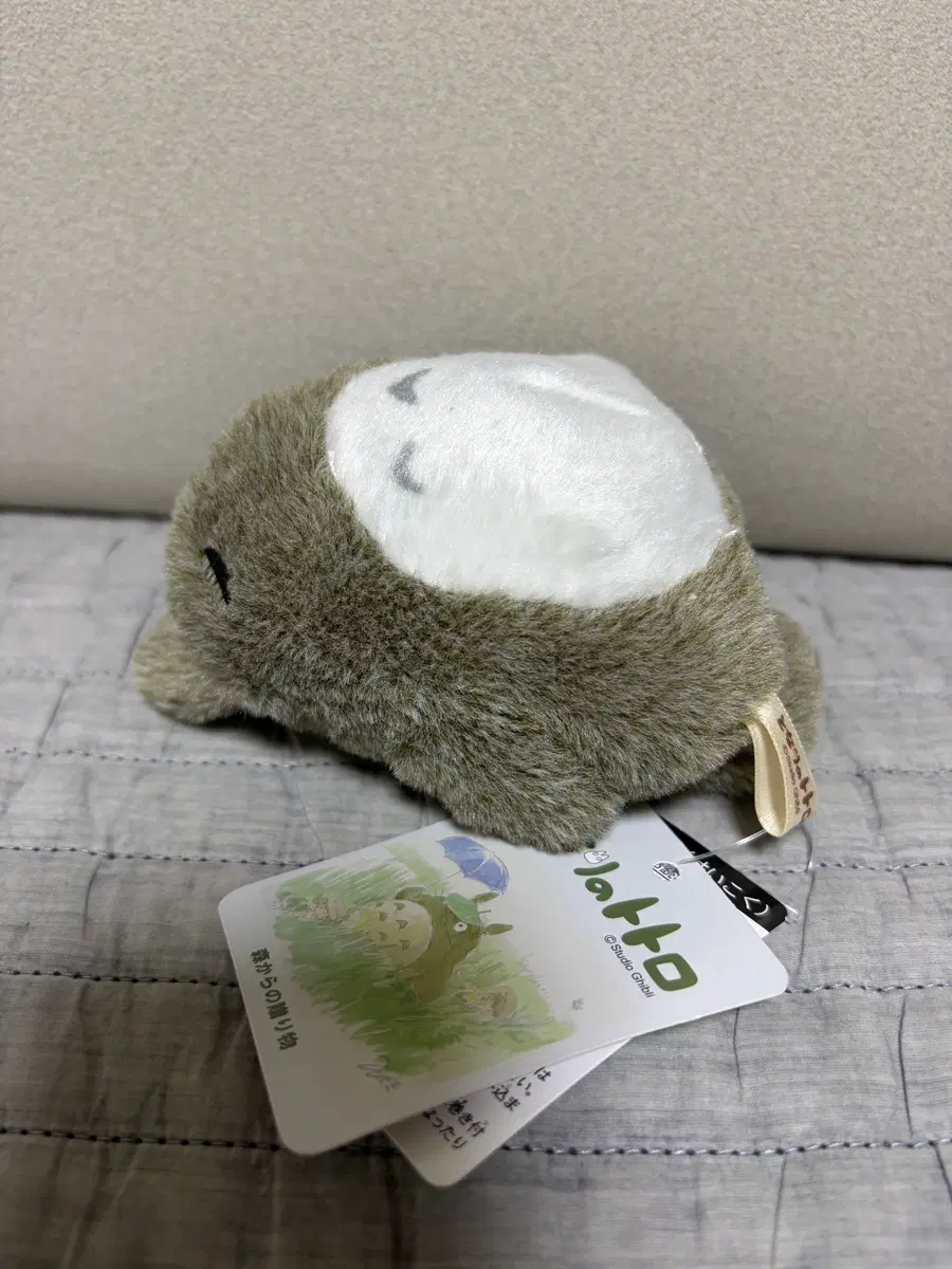 지브리 이웃집 토토로 잠토 인형