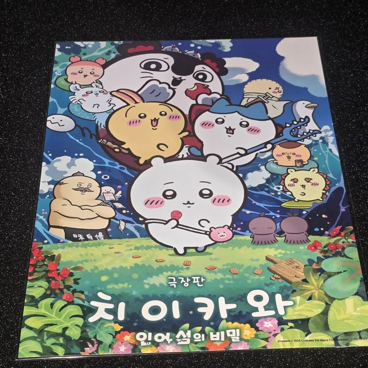 치이카와 인어섬의비밀 메인 포스터