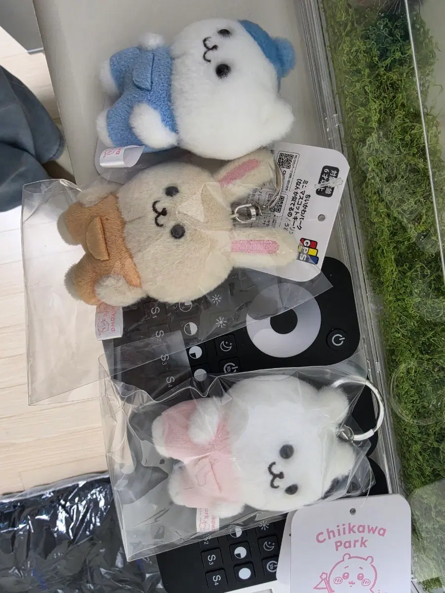 먼작귀 난또까바니안