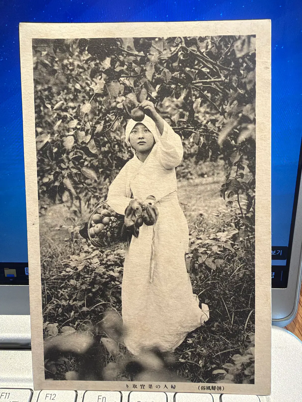 1920년 - 조선 부인의 과실 채취 - 제국의 시선과 조선의 일상