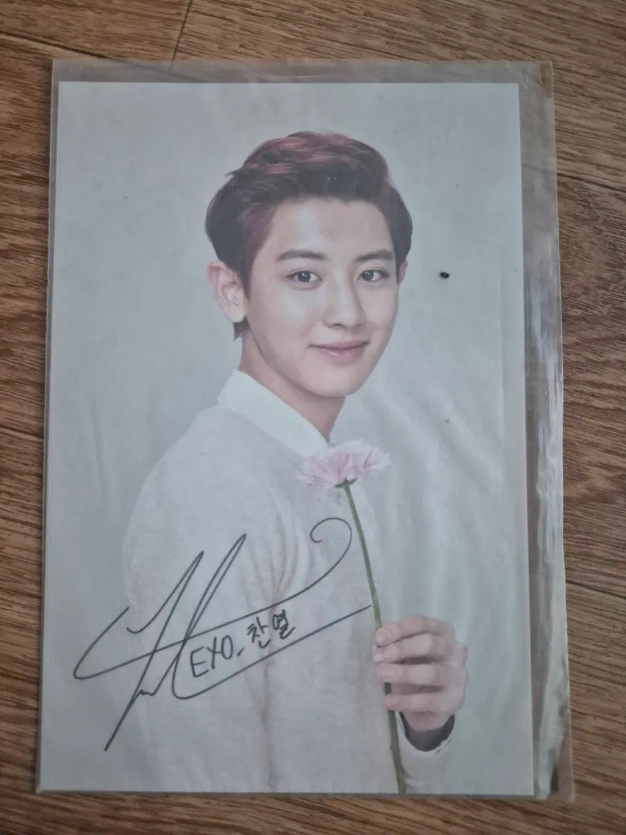 EXO 찬열 광고 포토