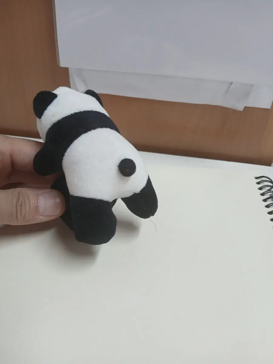 봉제인형 판다
